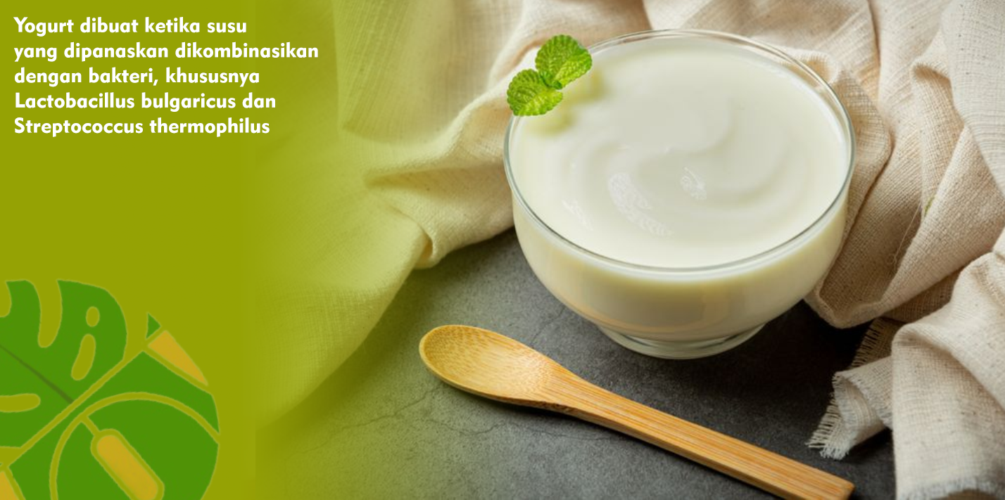 Manfaat Yogurt Berpusat pada Bakteri Hidup Hasil Fermentasi